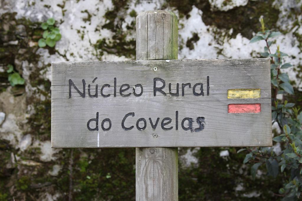 Alojamento Rural De Covelas Covelas  Exterior foto